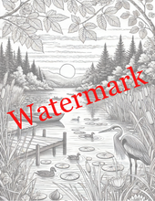 Load image into Gallery viewer, Nature Coloring Book